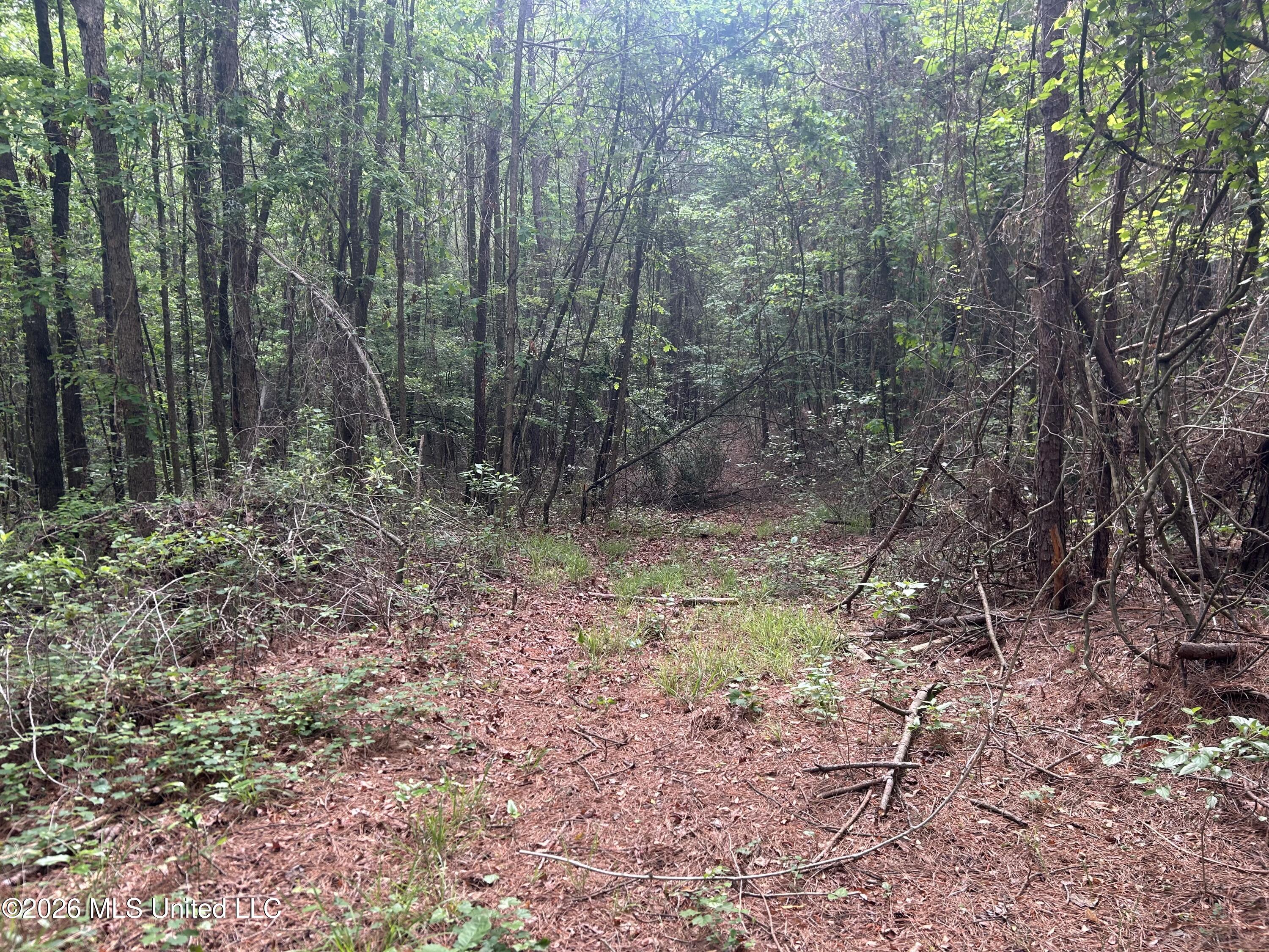 0 Hooper Mill Creek Road Philadelphia, MS 39350 - Photo 21 of 37 Photo Apr 15 2026, 9 06 51 AM