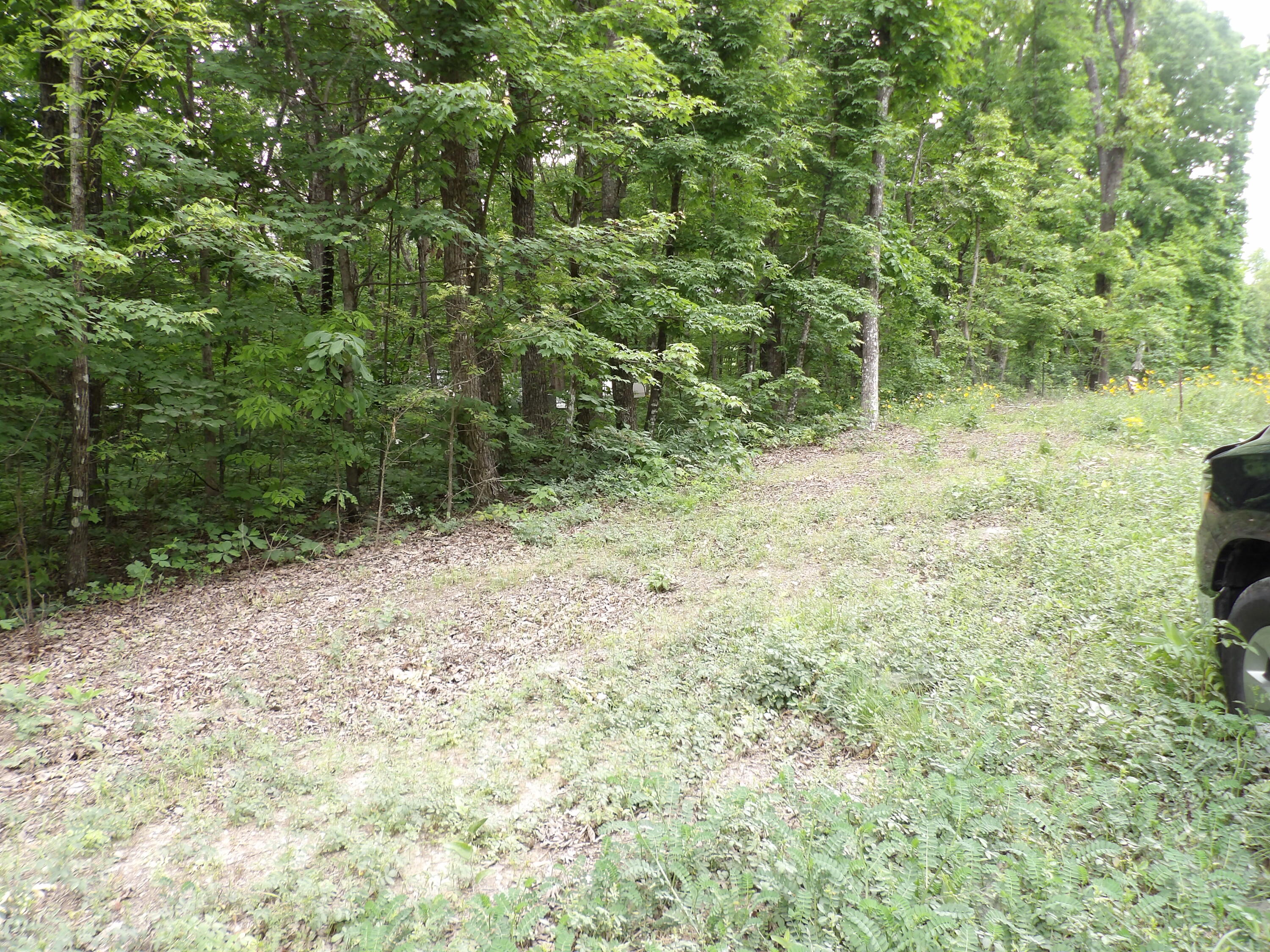 0 Ridge Road West Crossville, TN 38572 - Photo 2 of 10 100_2493