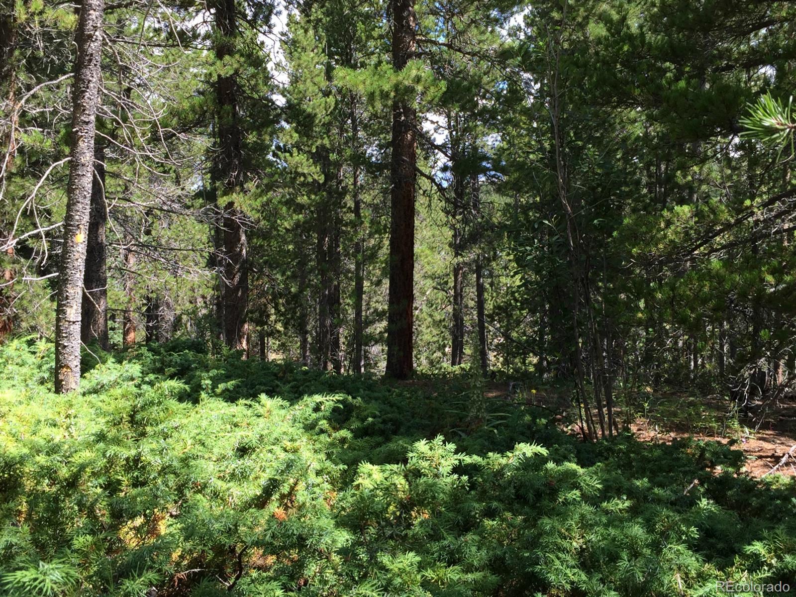 Gold Road Black Hawk, CO 80422 - Photo 10 of 11 Gallery Image 10