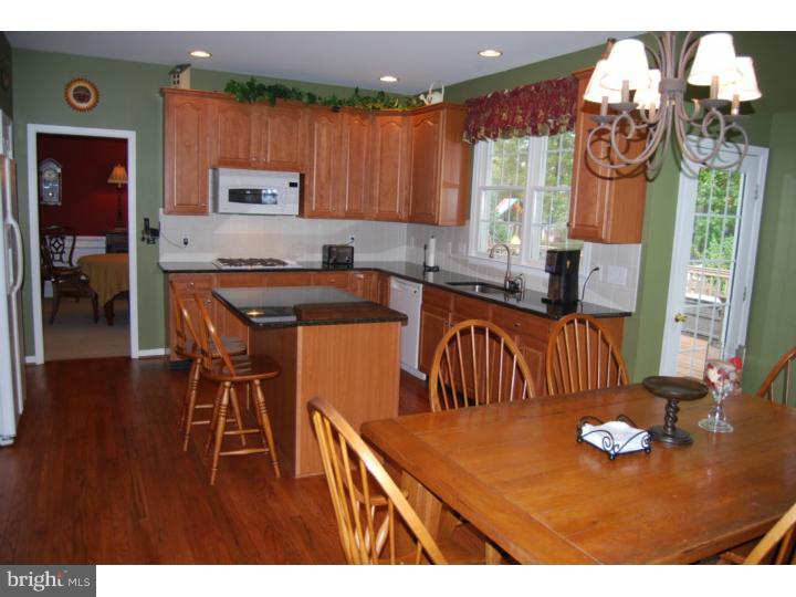 3664 Green Ridge Road Furlong, PA 18925 - Photo 7 of 25 Kitchen