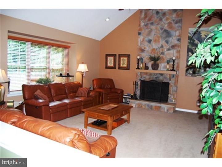 3664 Green Ridge Road Furlong, PA 18925 - Photo 8 of 25 Family Room