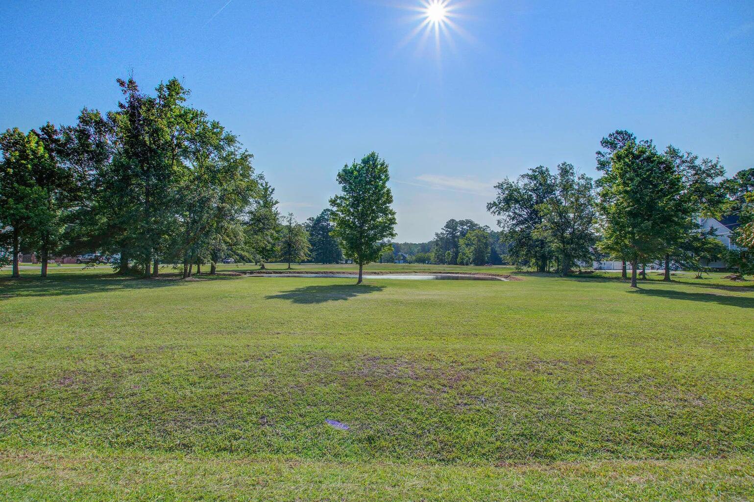 131 Canterhill Lane Moncks Corner, SC 29461 - Photo 9 of 13 131 canterhill 3