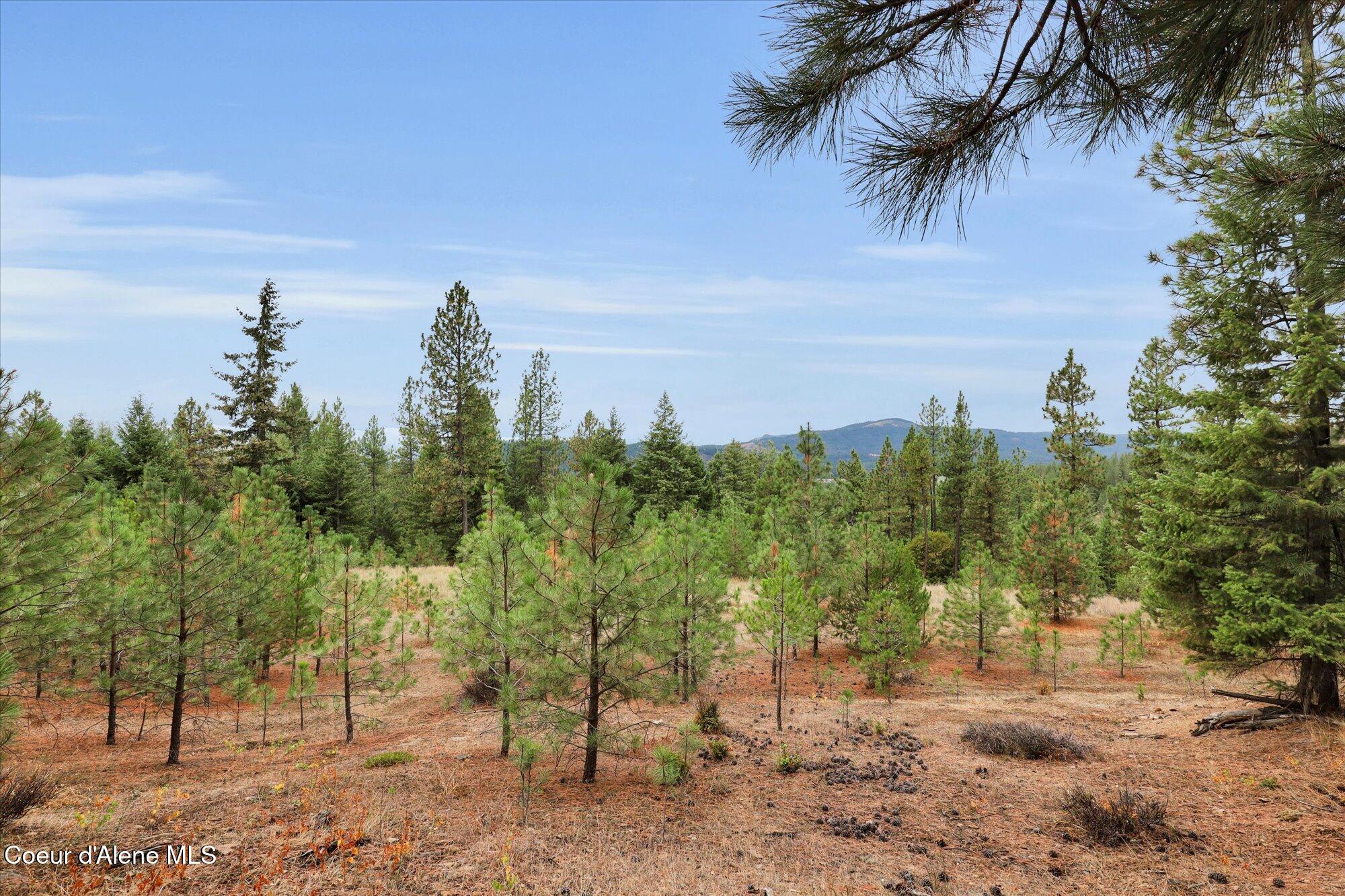 1571 Stone Road Blanchard, ID 83804 - Photo 10 of 22 09-1571 Stone Rd