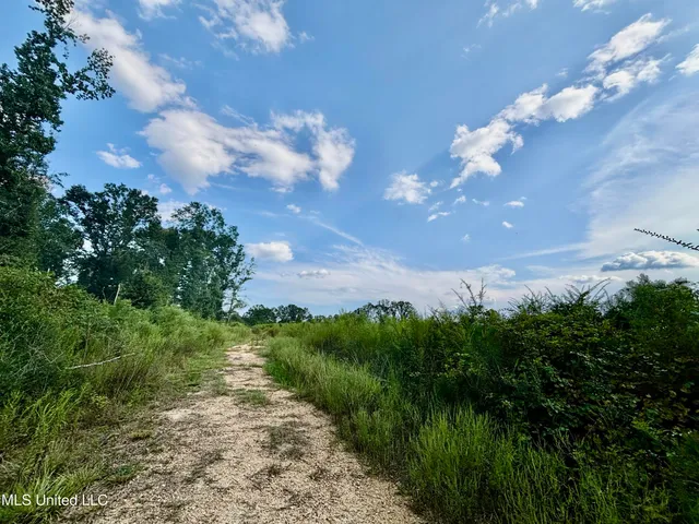 $280,000 | 891 Highway 48, Tylertown, MS 39667
