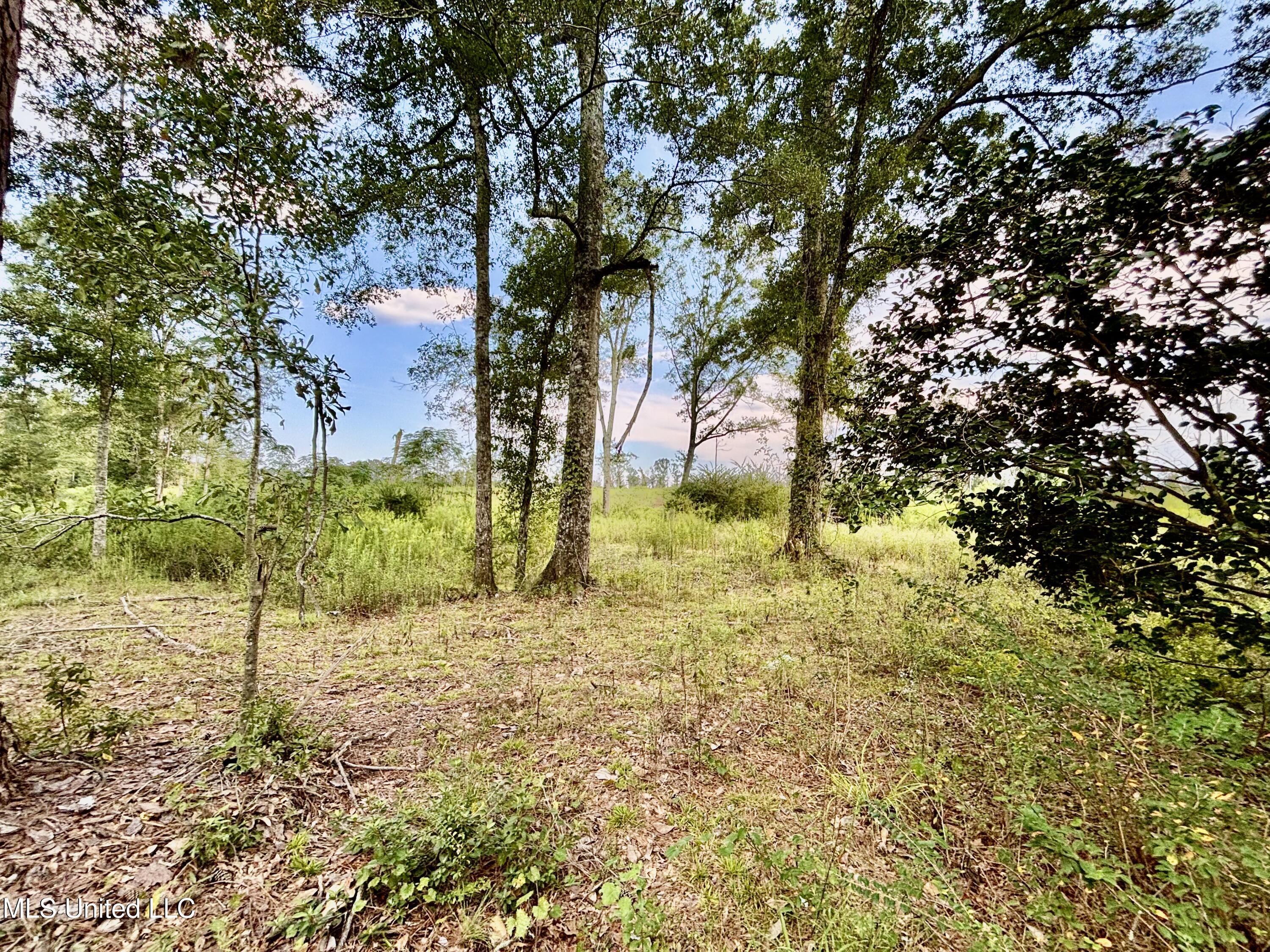 891 Highway 48 Tylertown, MS 39667 - Photo 13 of 19 IMG_8729