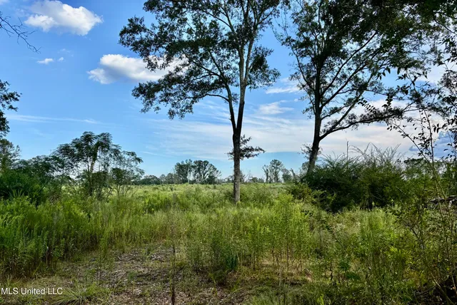 $280,000 | 891 Highway 48, Tylertown, MS 39667