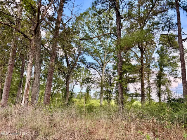 $280,000 | 891 Highway 48, Tylertown, MS 39667