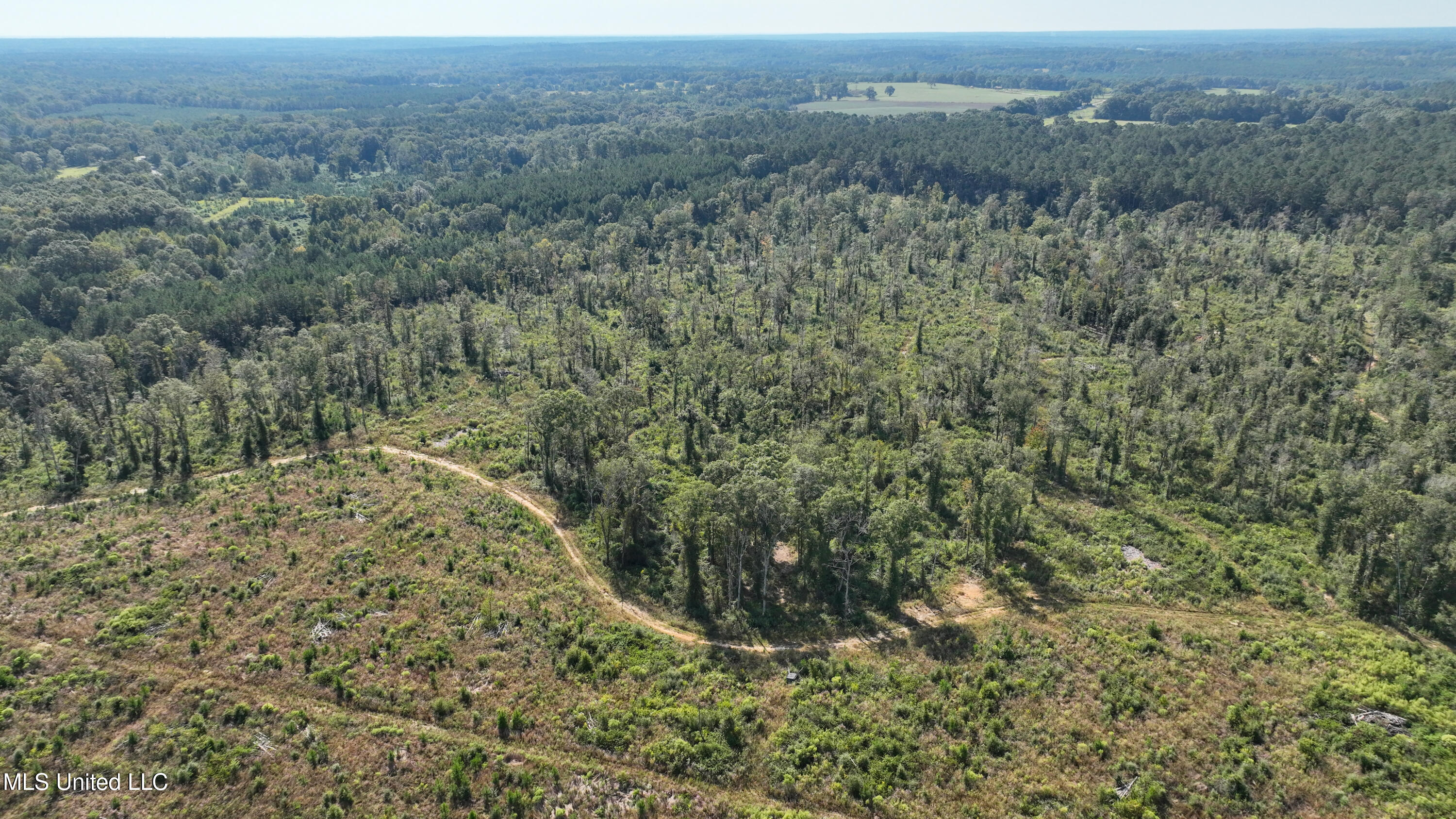 891 Highway 48 Tylertown, MS 39667 - Photo 16 of 19 DJI_0966
