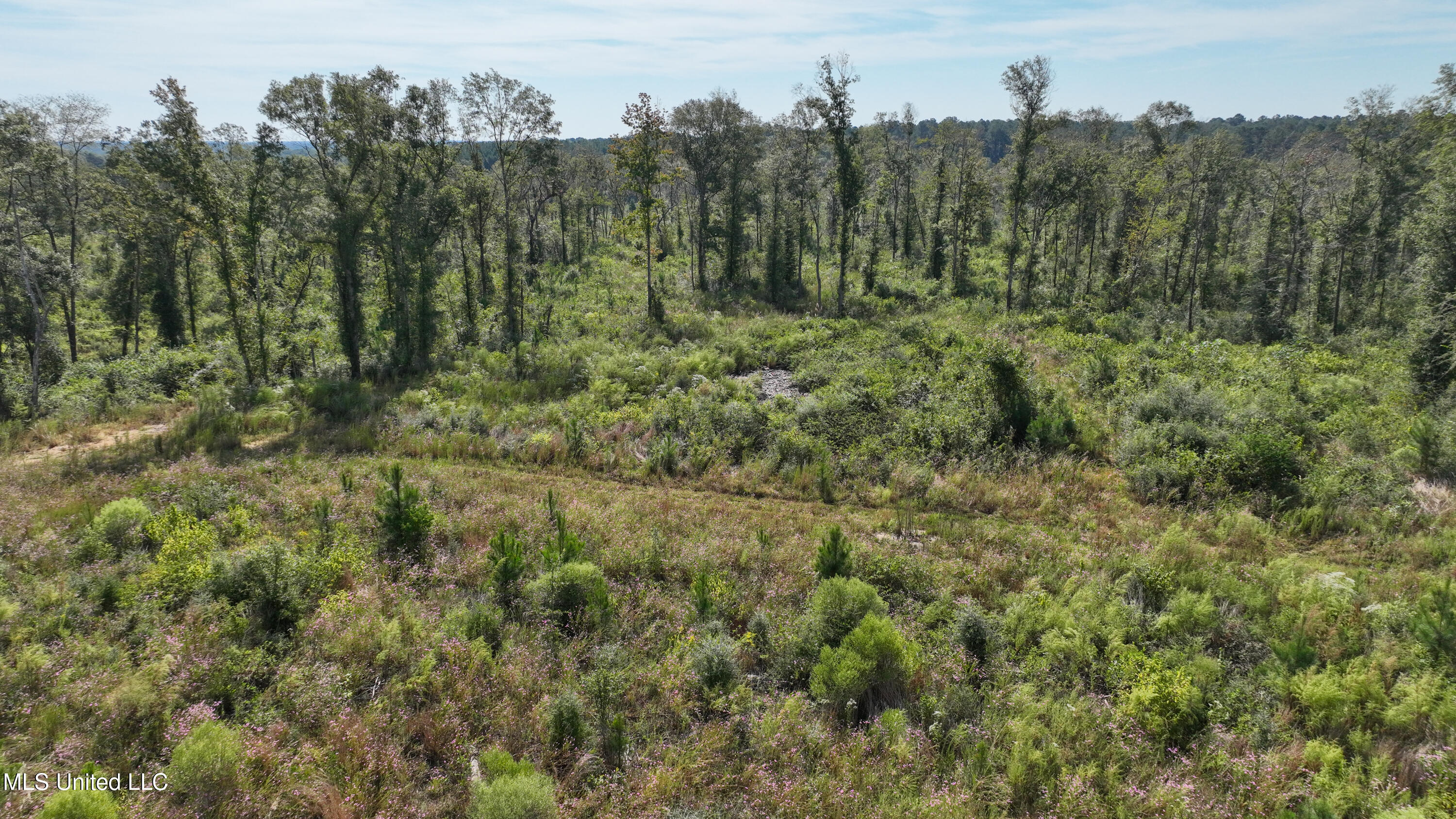 891 Highway 48 Tylertown, MS 39667 - Photo 17 of 19 DJI_0973