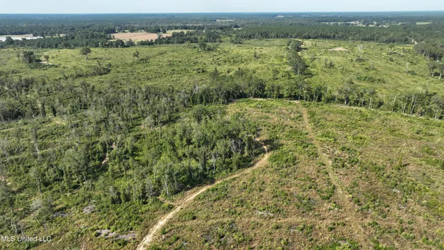 $280,000 | 891 Highway 48, Tylertown, MS 39667