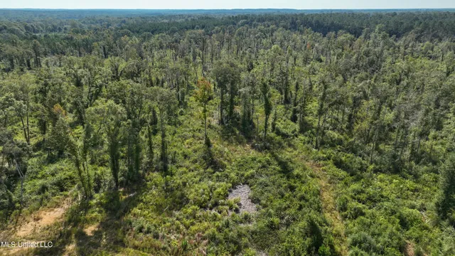 $280,000 | 891 Highway 48, Tylertown, MS 39667