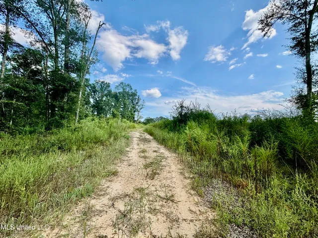 $280,000 | 891 Highway 48, Tylertown, MS 39667