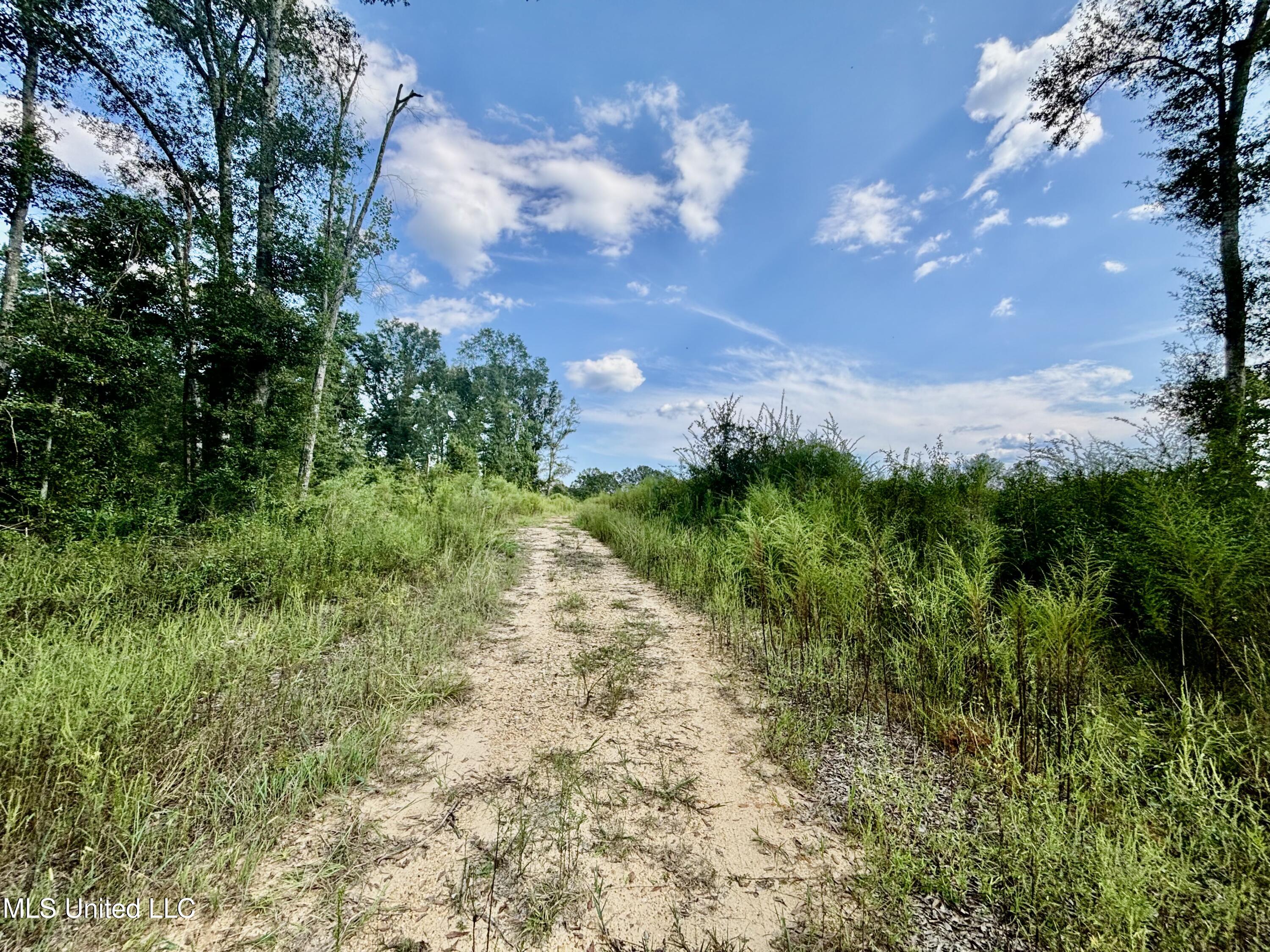 891 Highway 48 Tylertown, MS 39667 - Photo 2 of 19 IMG_8718
