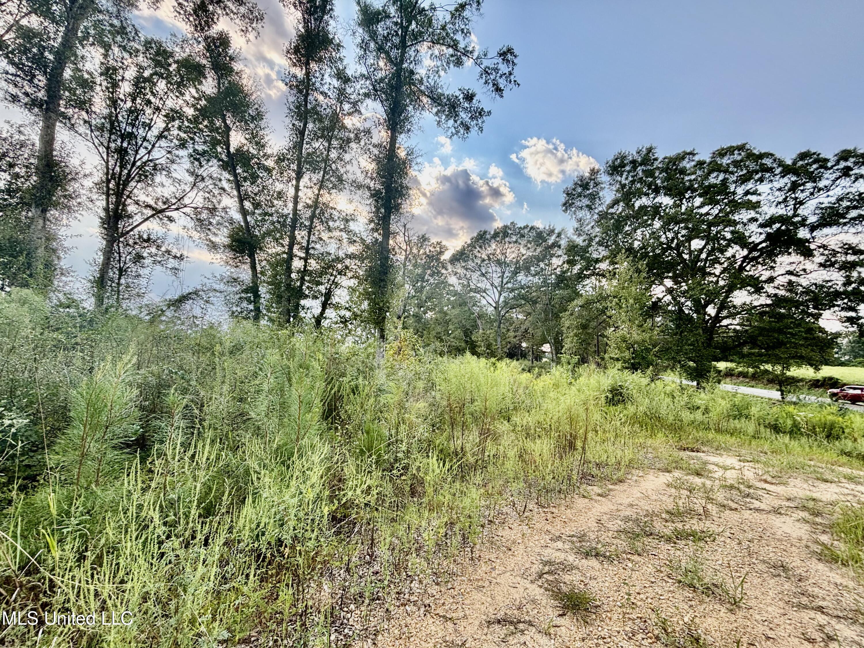 891 Highway 48 Tylertown, MS 39667 - Photo 3 of 19 IMG_8720