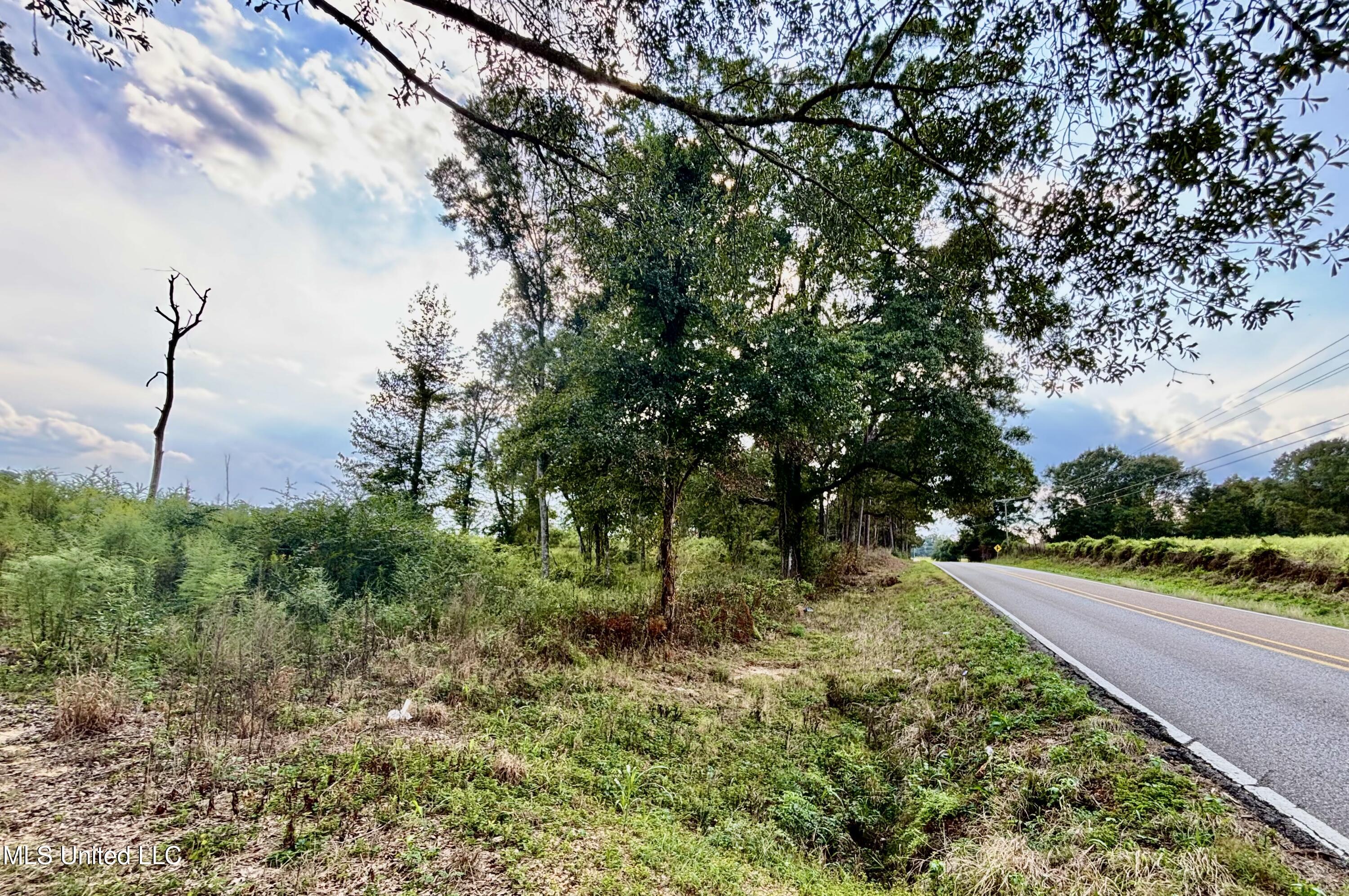 891 Highway 48 Tylertown, MS 39667 - Photo 5 of 19 IMG_8722