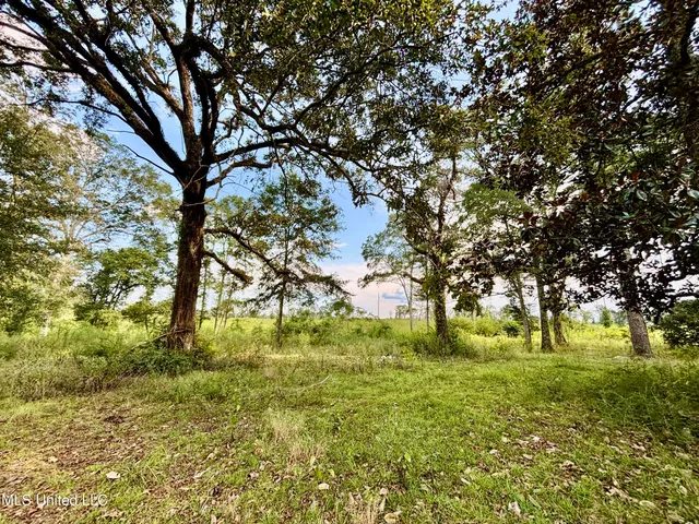 $280,000 | 891 Highway 48, Tylertown, MS 39667