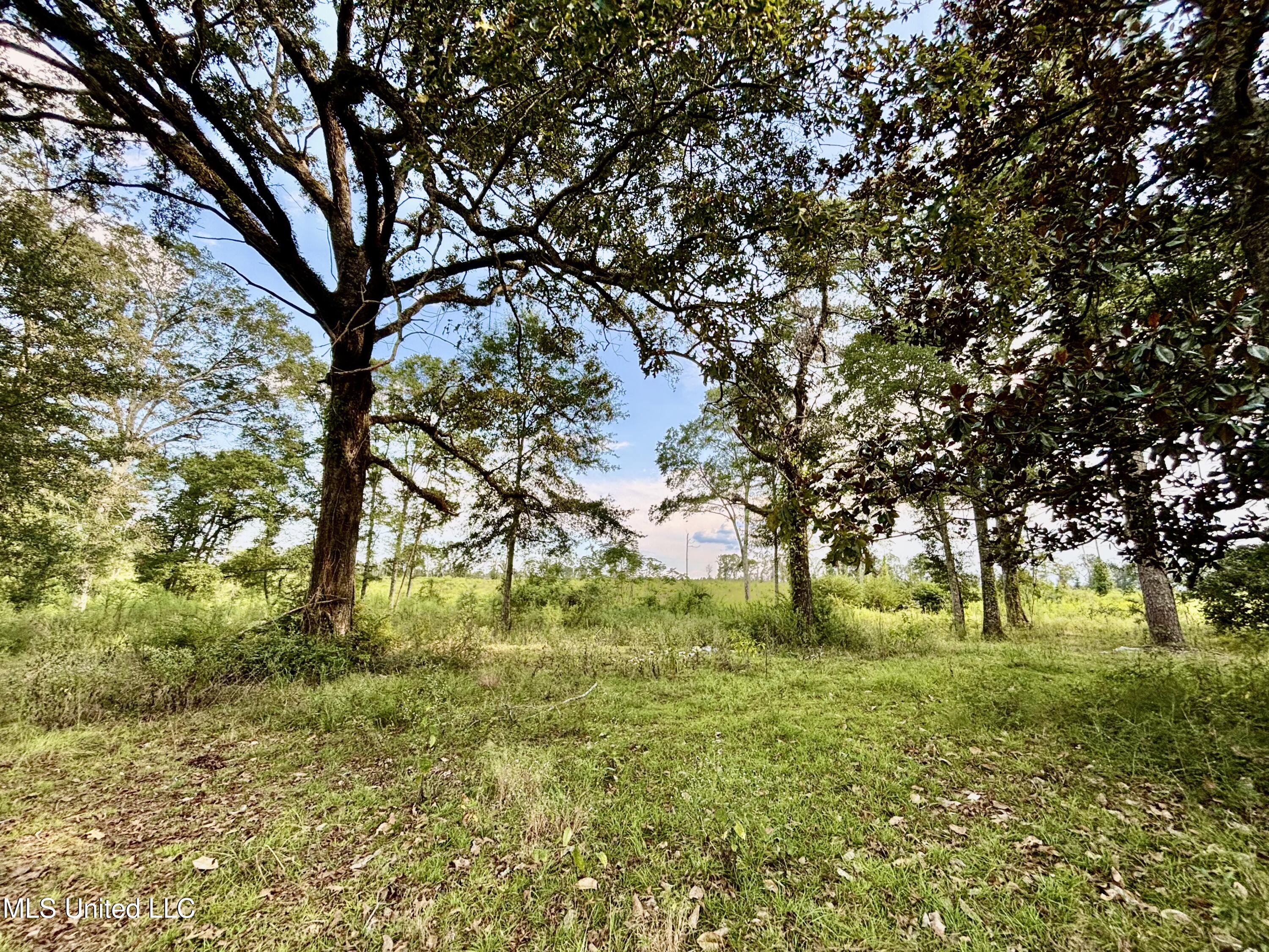 891 Highway 48 Tylertown, MS 39667 - Photo 6 of 19 IMG_8723