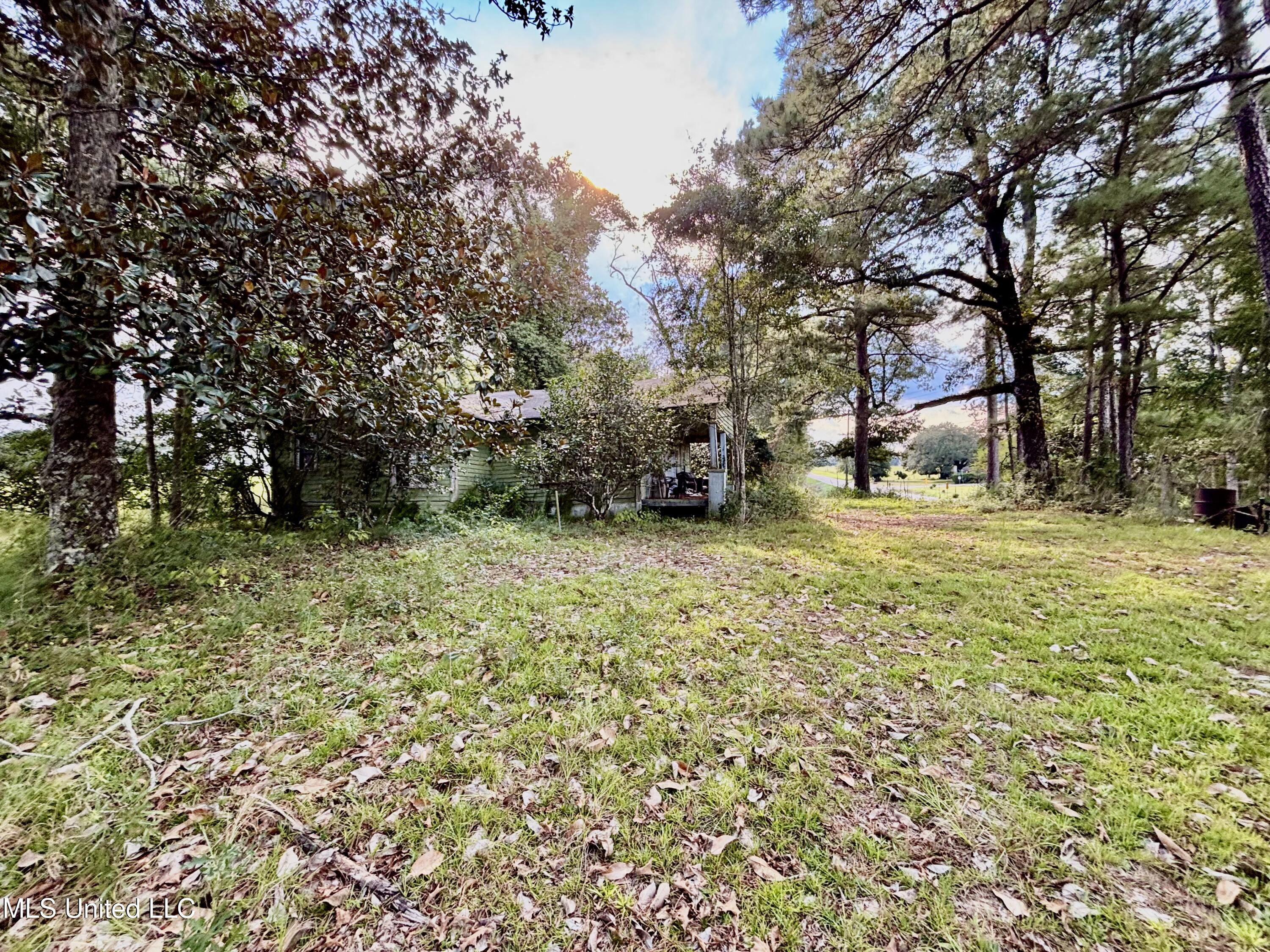 891 Highway 48 Tylertown, MS 39667 - Photo 7 of 19 IMG_8724