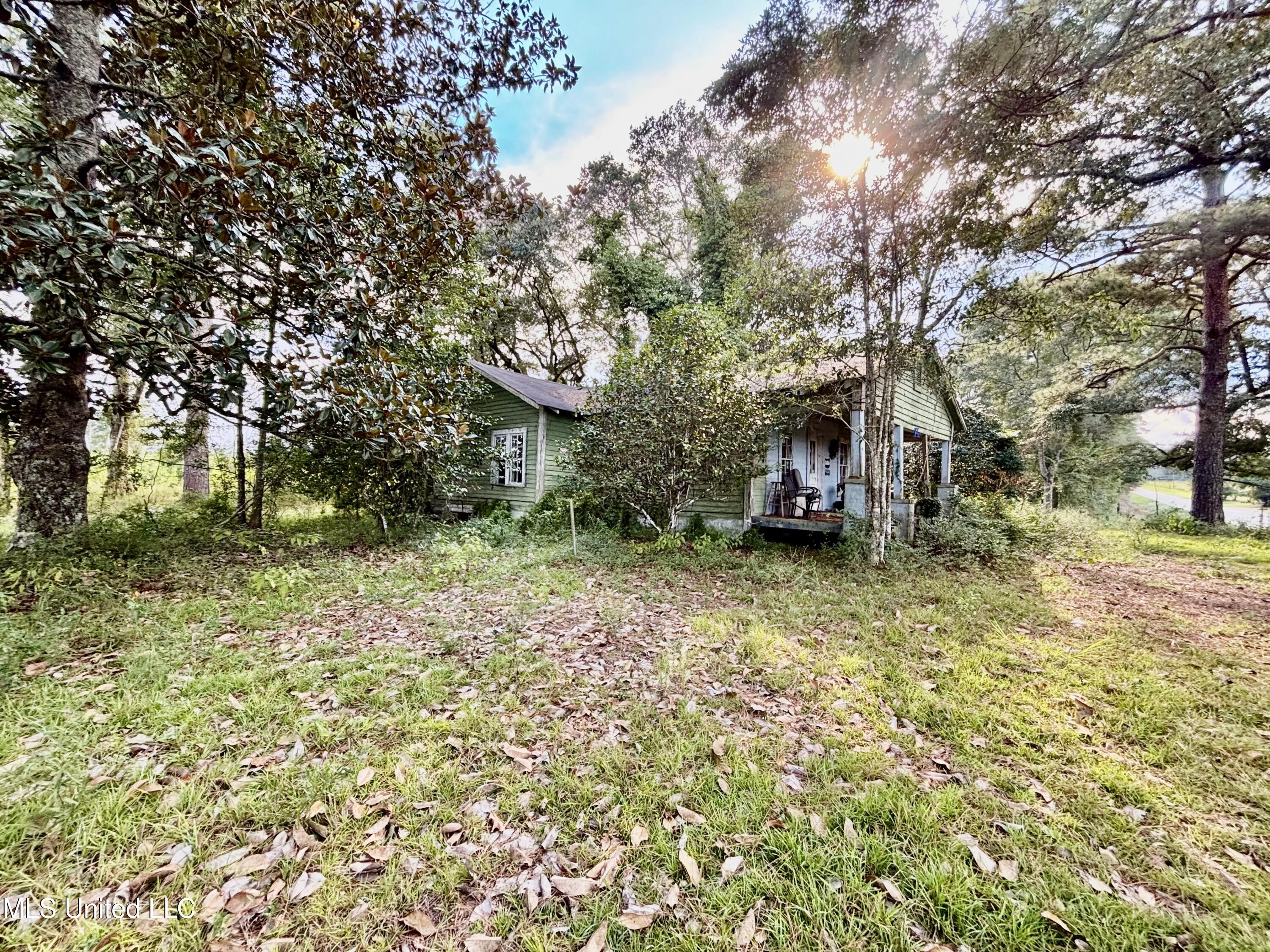 891 Highway 48 Tylertown, MS 39667 - Photo 8 of 19 IMG_8725