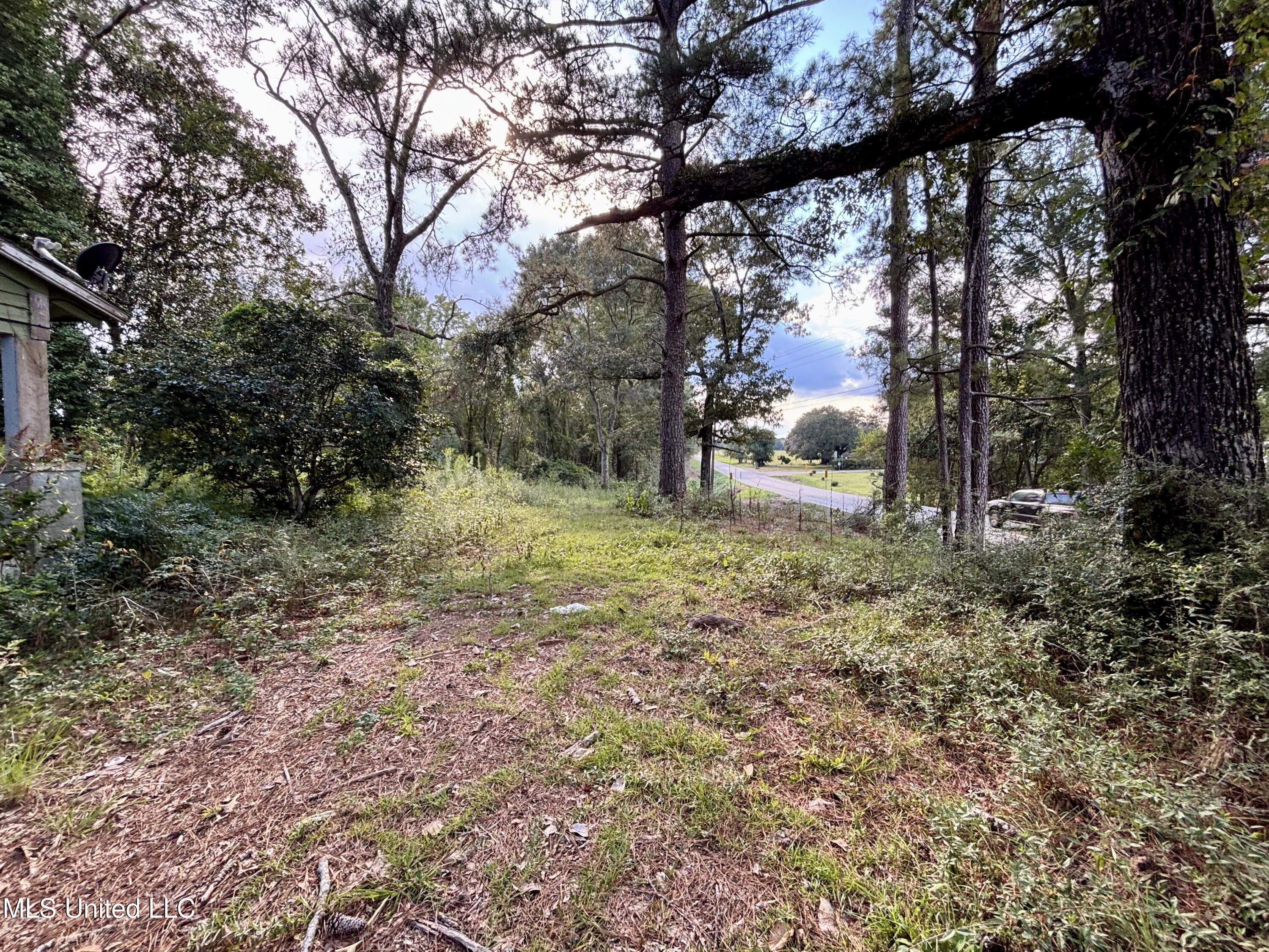 891 Highway 48 Tylertown, MS 39667 - Photo 9 of 19 IMG_8726