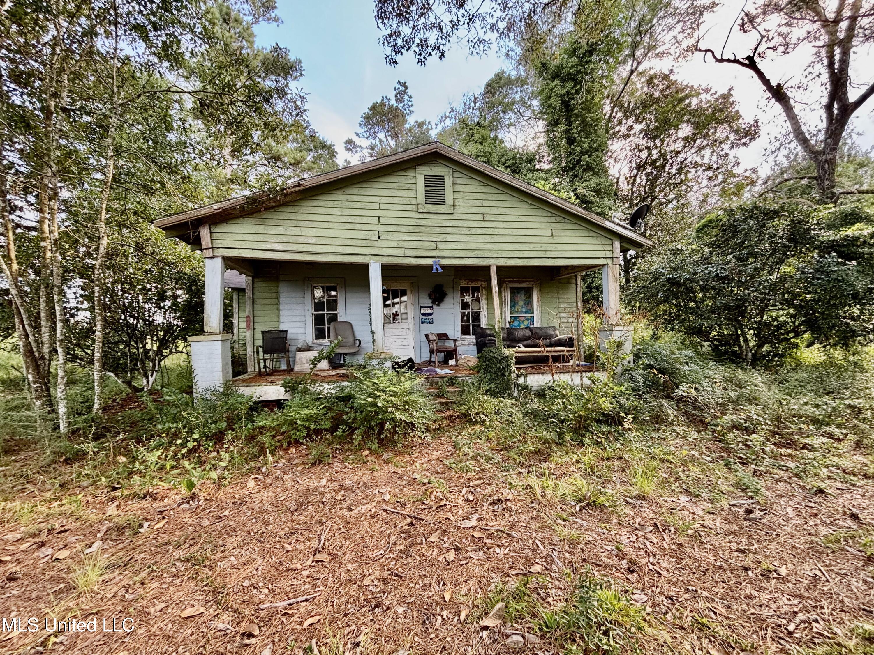 891 Highway 48 Tylertown, MS 39667 - Photo 10 of 19 IMG_8727