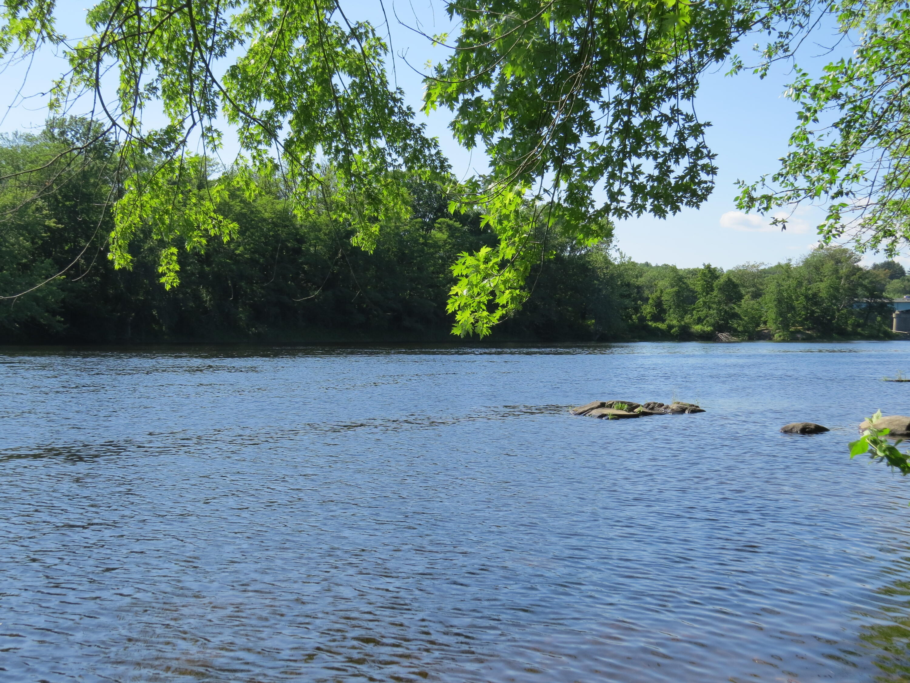 154 River Road Benton, ME 04901 - Photo 20 of 23 IMG_0029