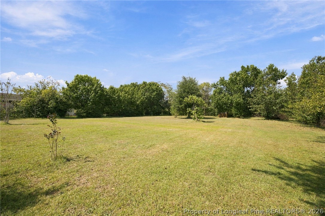 2376 South Robeson Road Rowland, NC 28383 - Photo 27 of 33 Gallery Image 27