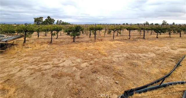 a view of a town with palm trees
