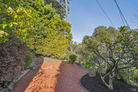 a backyard of a house with lots of green space