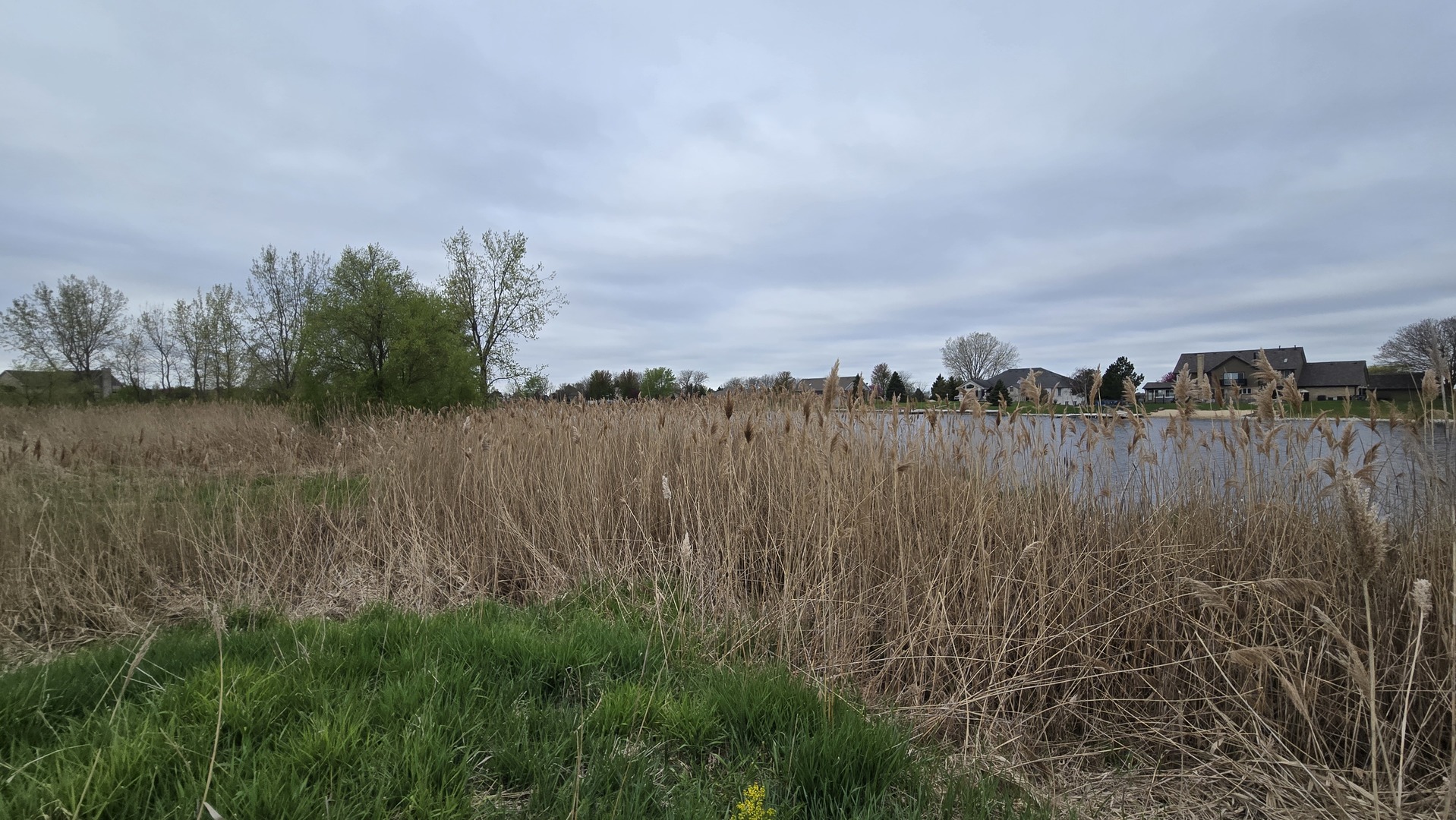 13255 West Laraway Road New Lenox, IL 60451 - Photo 12 of 17 Gallery Image 12