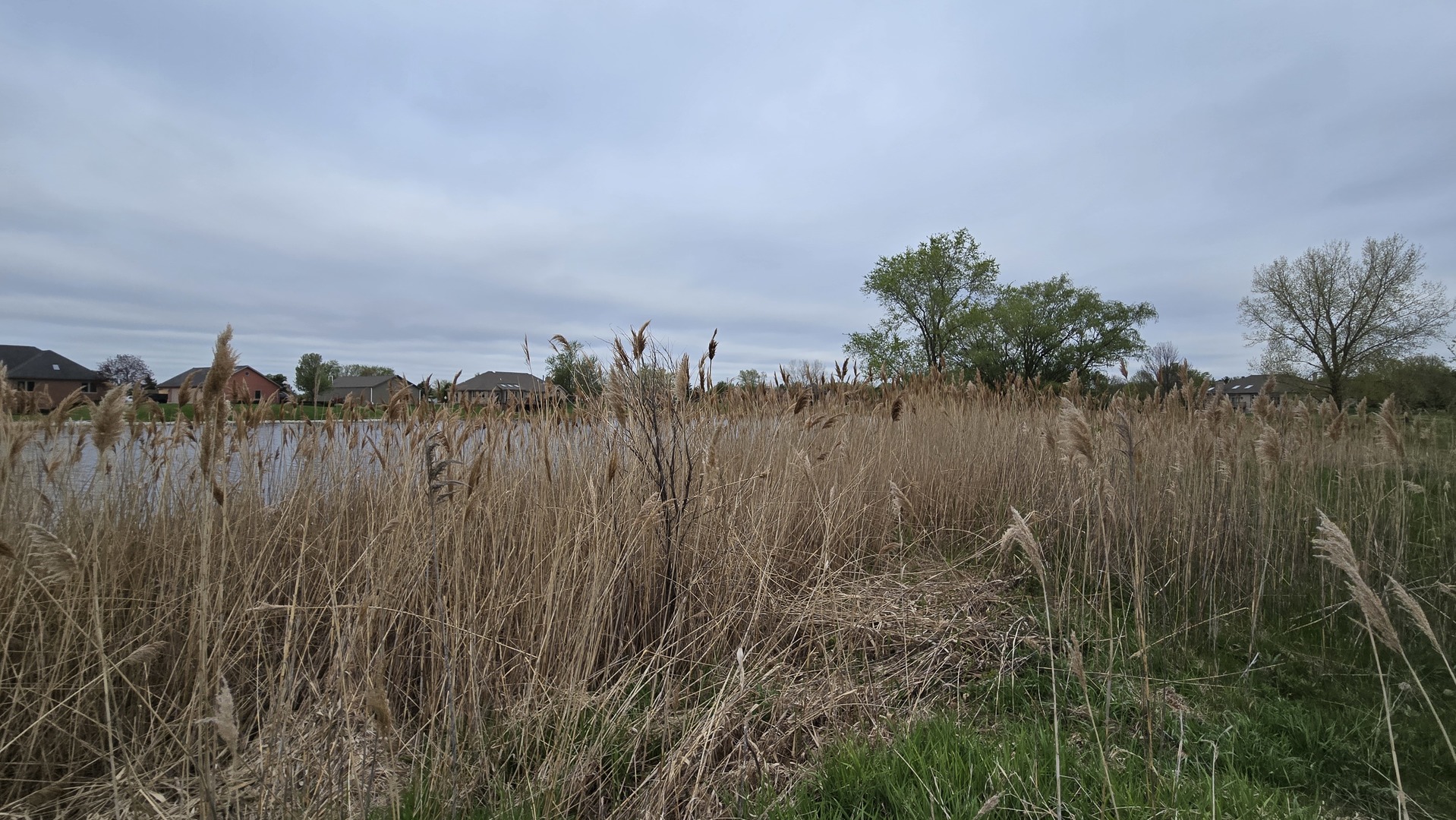 13255 West Laraway Road New Lenox, IL 60451 - Photo 14 of 17 Gallery Image 14
