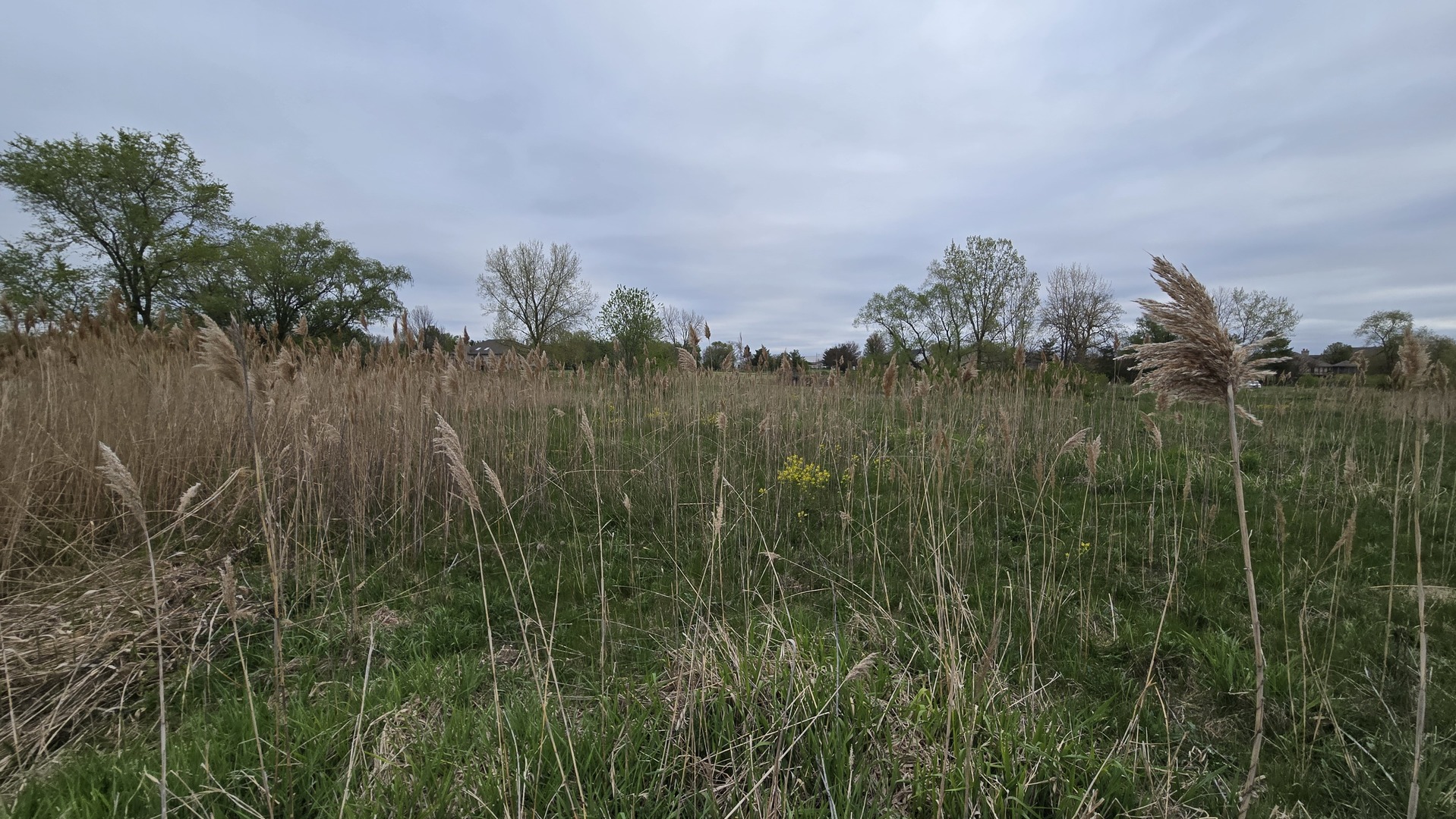 13255 West Laraway Road New Lenox, IL 60451 - Photo 15 of 17 Gallery Image 15