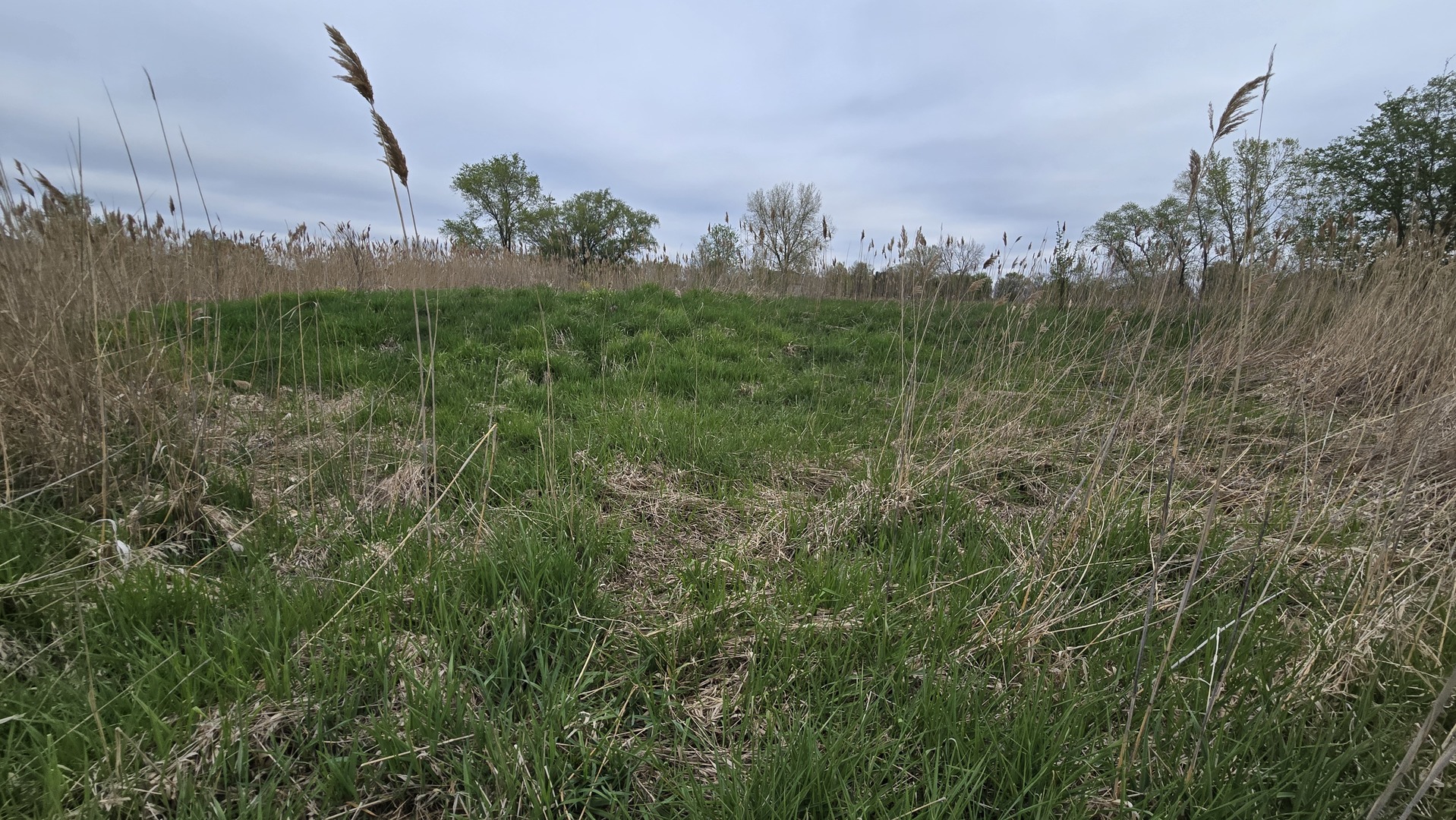 13255 West Laraway Road New Lenox, IL 60451 - Photo 17 of 17 Gallery Image 17