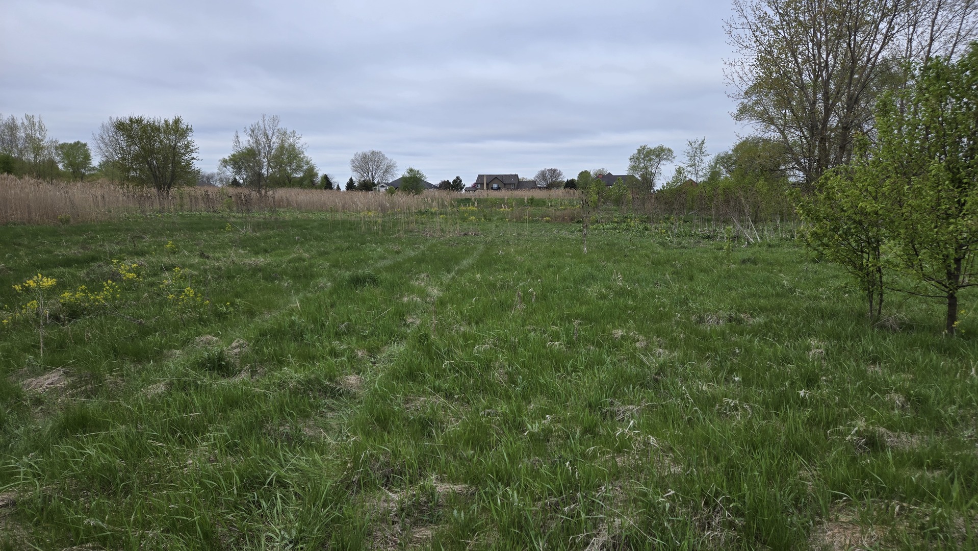 13255 West Laraway Road New Lenox, IL 60451 - Photo 4 of 17 Gallery Image 4