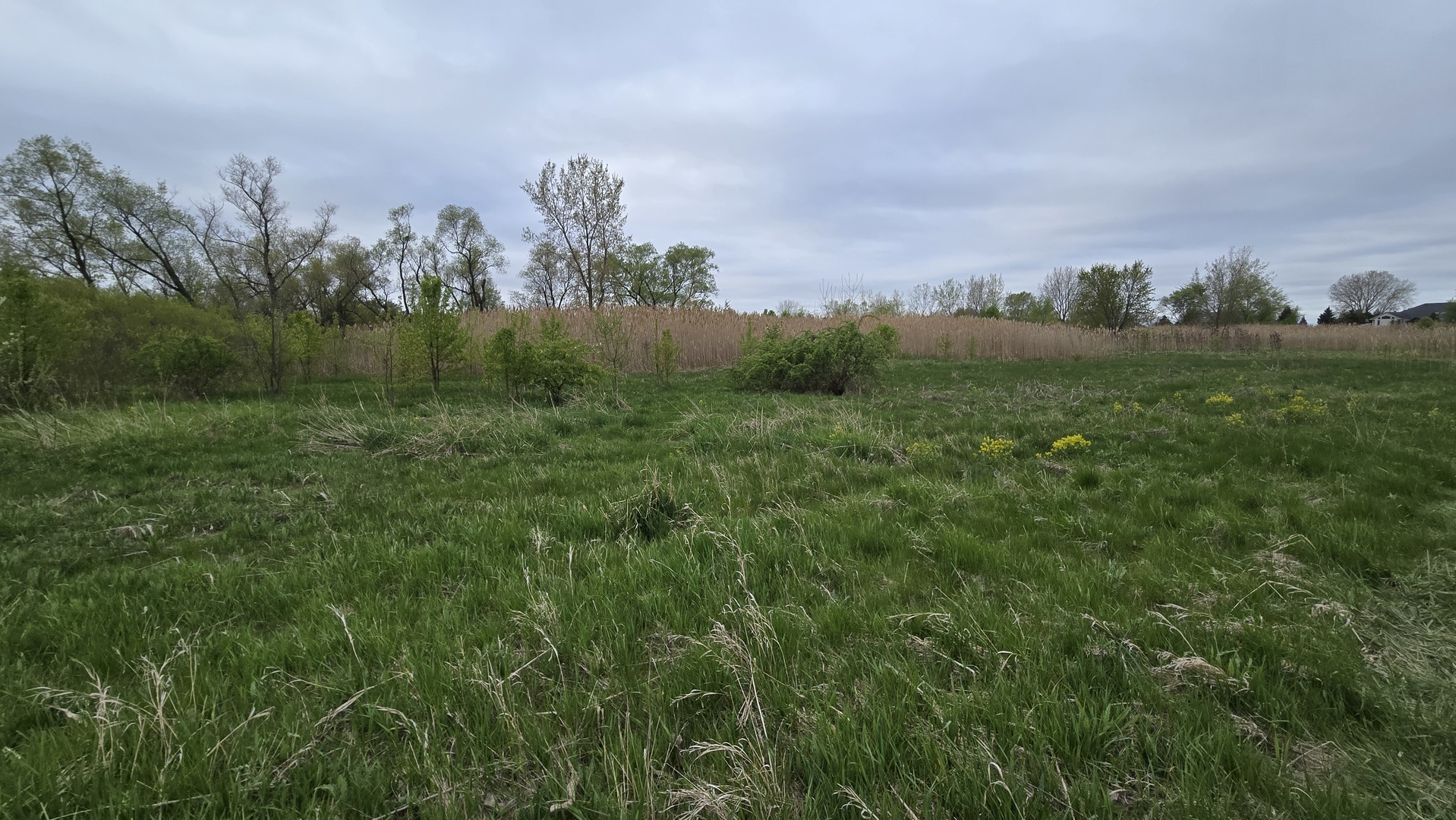 13255 West Laraway Road New Lenox, IL 60451 - Photo 8 of 17 Gallery Image 8