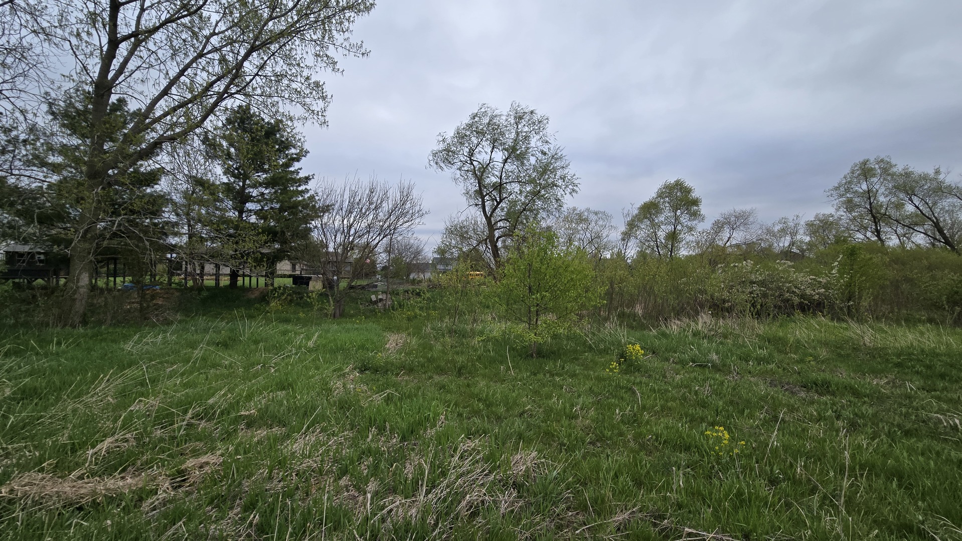 13255 West Laraway Road New Lenox, IL 60451 - Photo 9 of 17 Gallery Image 9