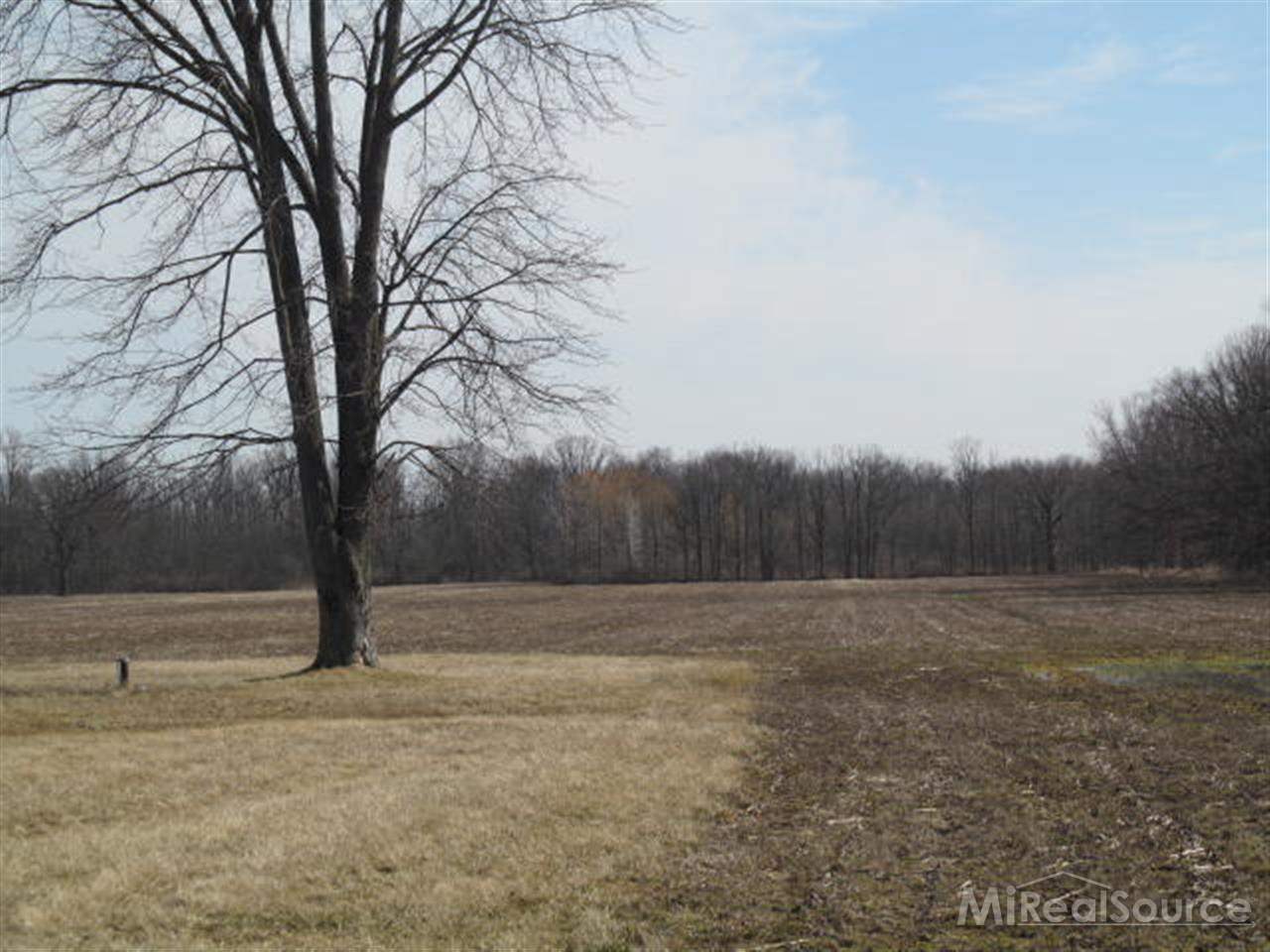 62747 New Haven Road Ray, MI 48096 - Photo 2 of 3