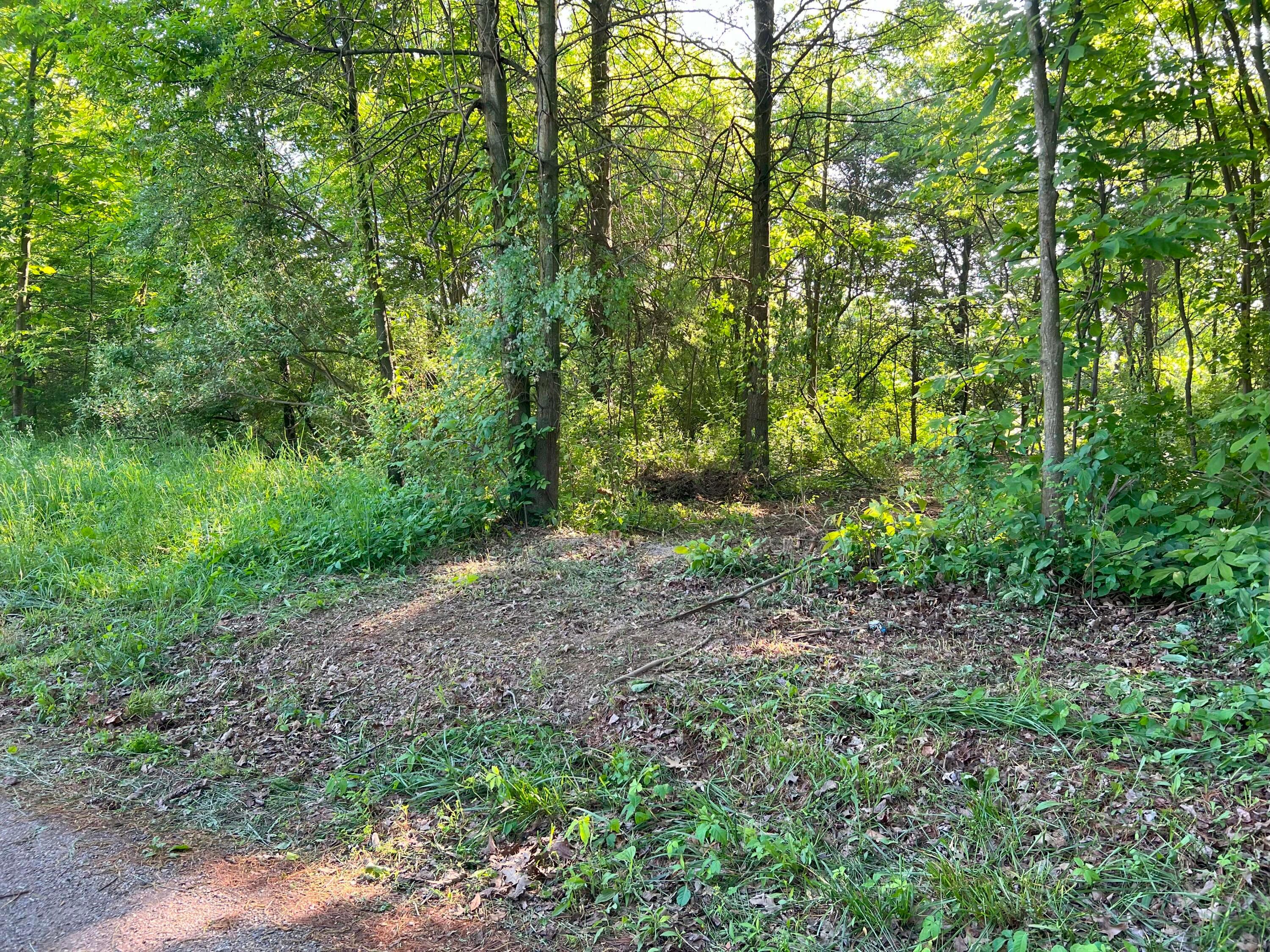 0 Schoolhouse Road Frazeysburg, OH 43822 - Photo 4 of 31 20240524_130852961_iOS