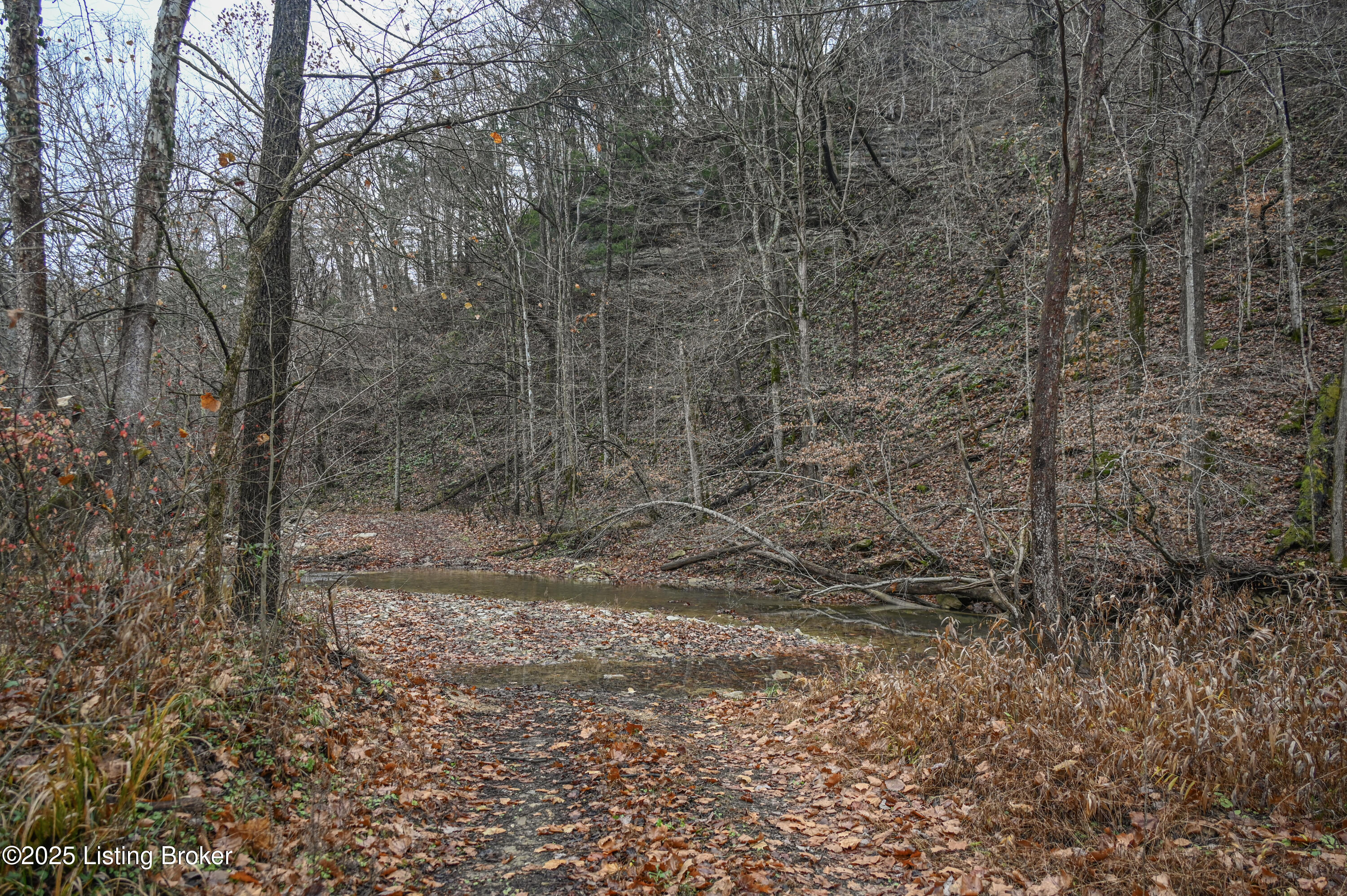 3095 Herbert Howell Road Hodgenville, KY 42748 - Photo 25 of 80 14-DSC_0981