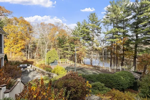 a view of yard and tree