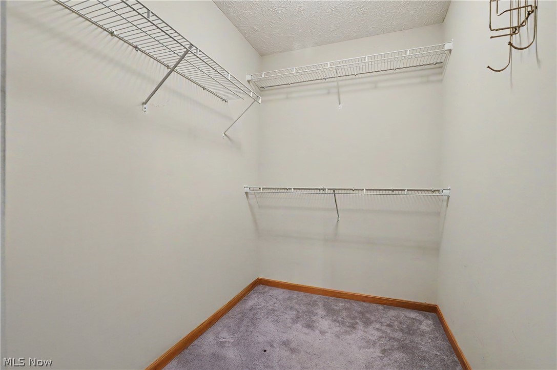 9235 Cable Line Road Diamond, OH 44412 - Photo 35 of 50 Walk in closet