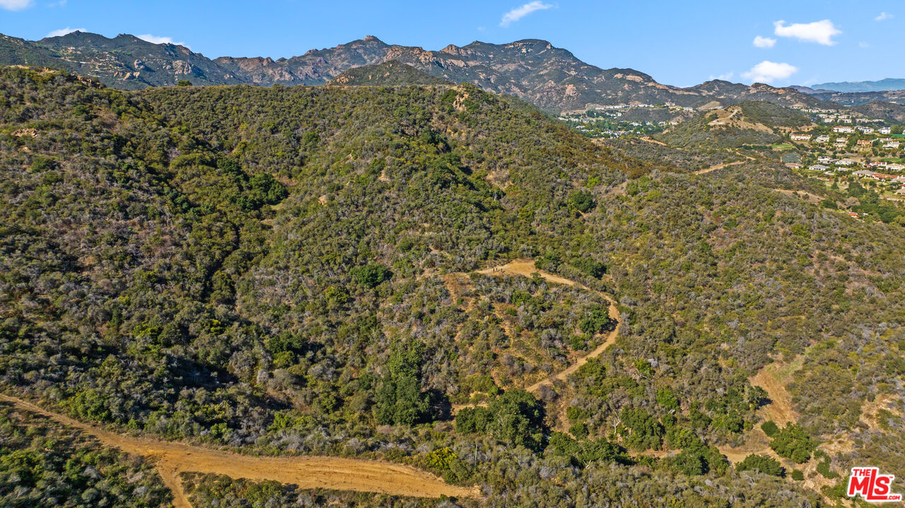 622 East Carlisle Road Thousand Oaks, CA 91361 - Photo 2 of 6 a view of a large tree with a mountain in the background