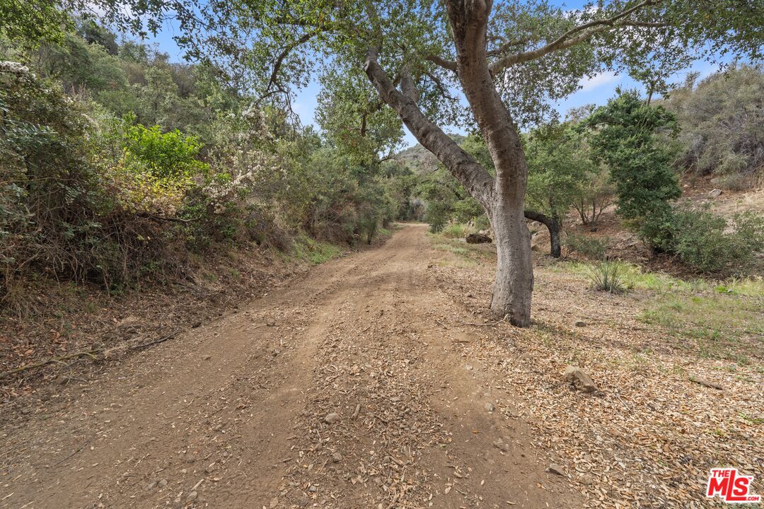 622 East Carlisle Road Thousand Oaks, CA 91361 - Photo 5 of 6 a view of a forest with trees