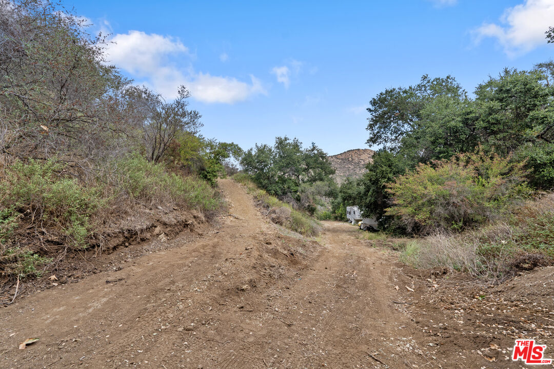 622 East Carlisle Road Thousand Oaks, CA 91361 - Photo 6 of 6 a view of a dry yard with trees in the background