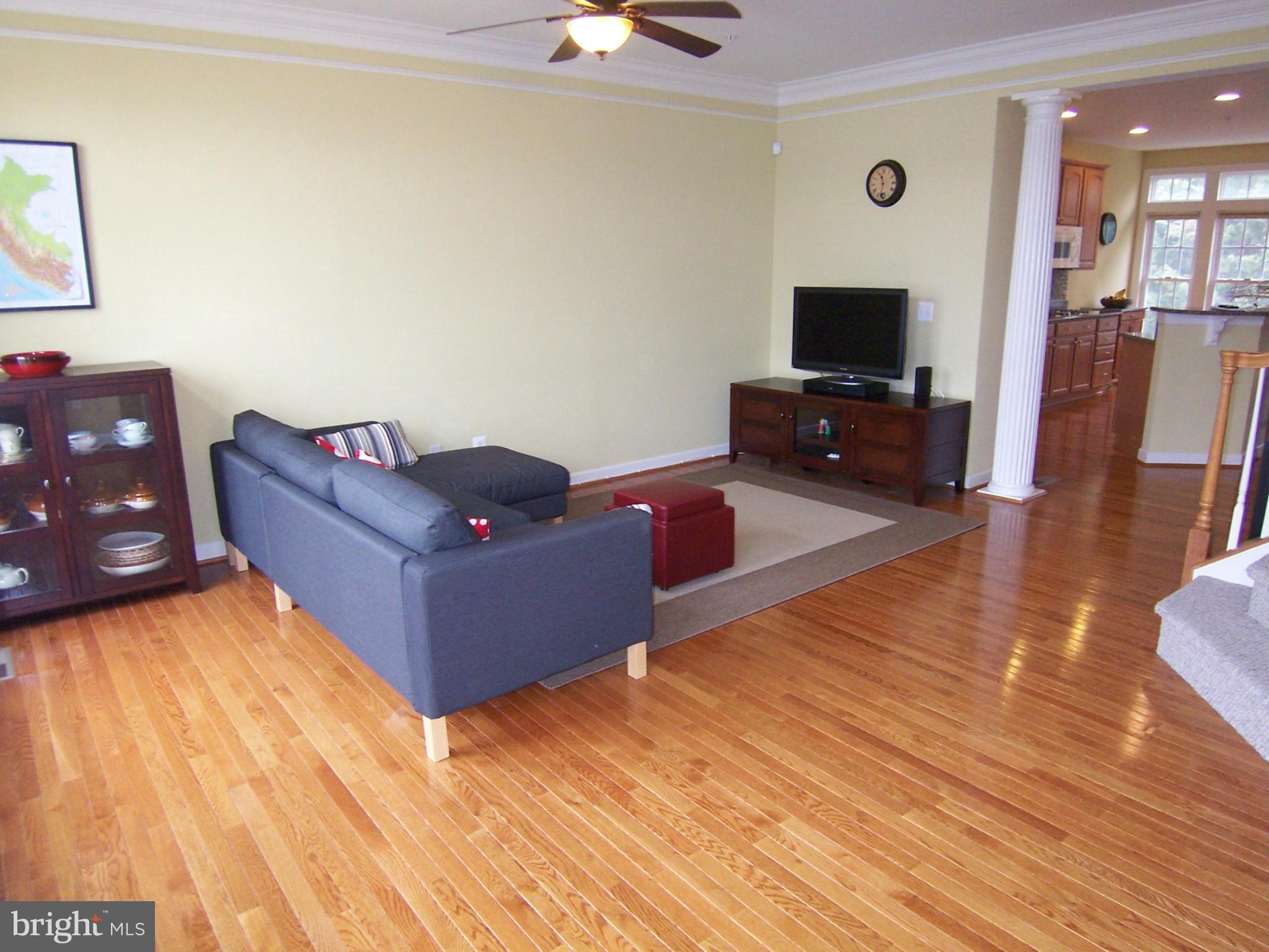 804 West Glebe Road Alexandria, VA 22305 - Photo 4 of 30 Living Room