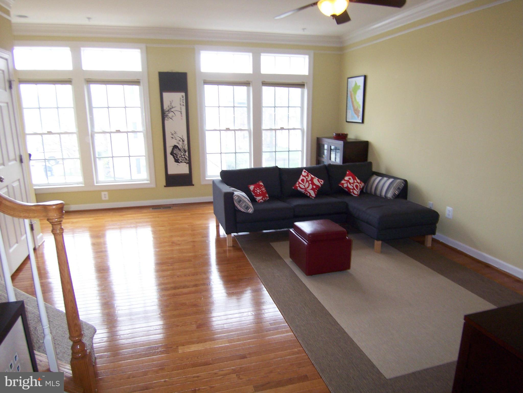 804 West Glebe Road Alexandria, VA 22305 - Photo 6 of 30 Living Room