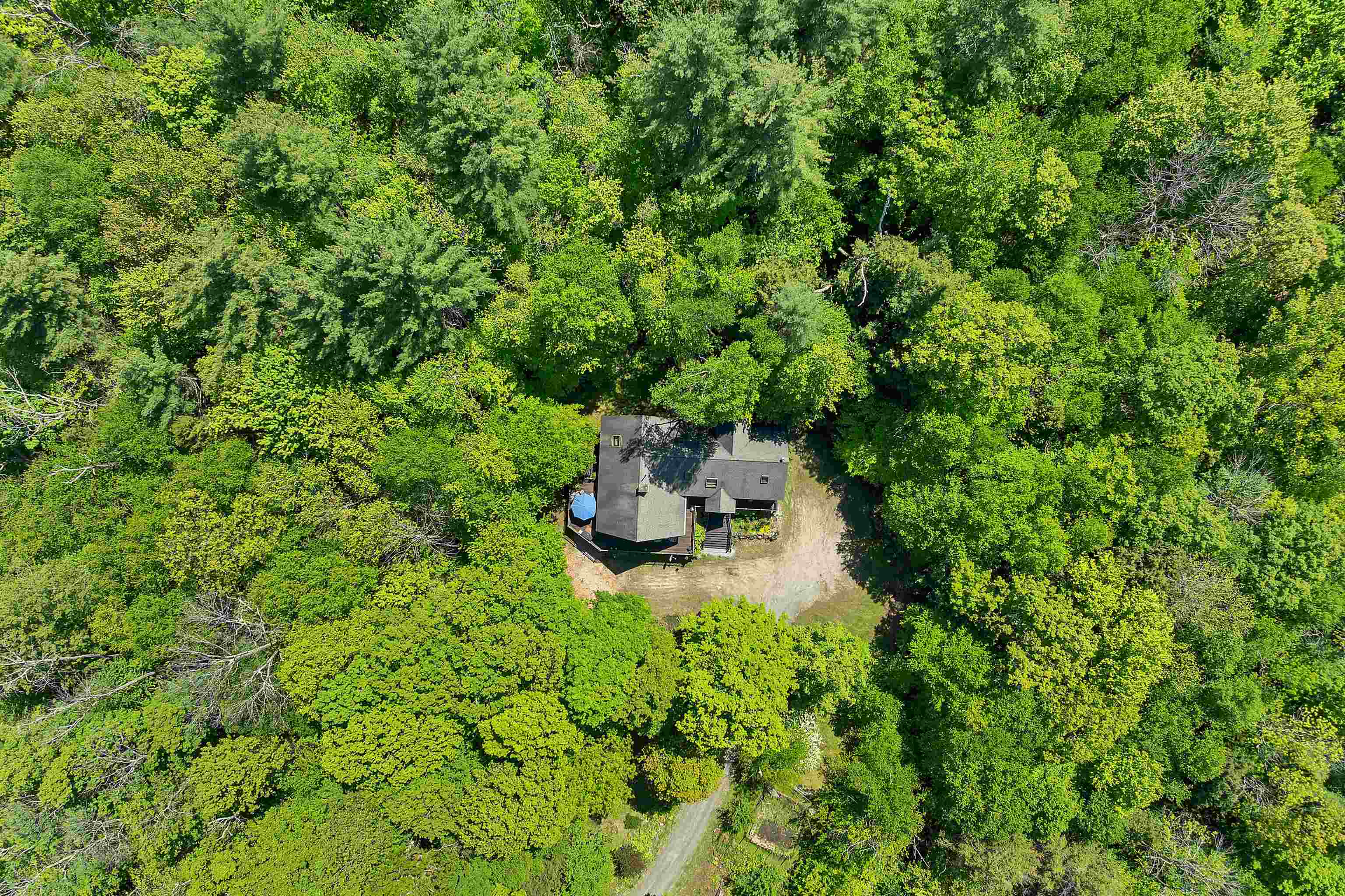 155 Fox Run Road Stoddard, NH 03464 - Photo 58 of 60