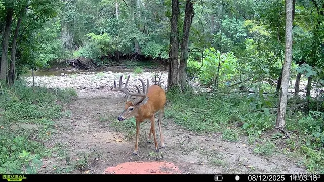 $735,000 | 6198 Shady Hills Lane, Fulton, MO 65251