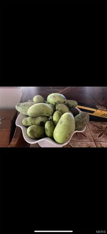 $735,000 | 6198 Shady Hills Lane, Fulton, MO 65251