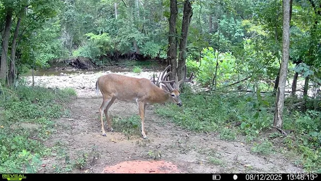 $735,000 | 6198 Shady Hills Lane, Fulton, MO 65251